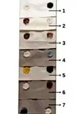 Athea Fon Perde - Görsel 2