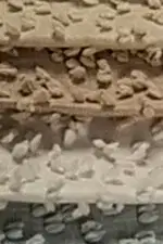 Sable Fon Perde - Görsel 10